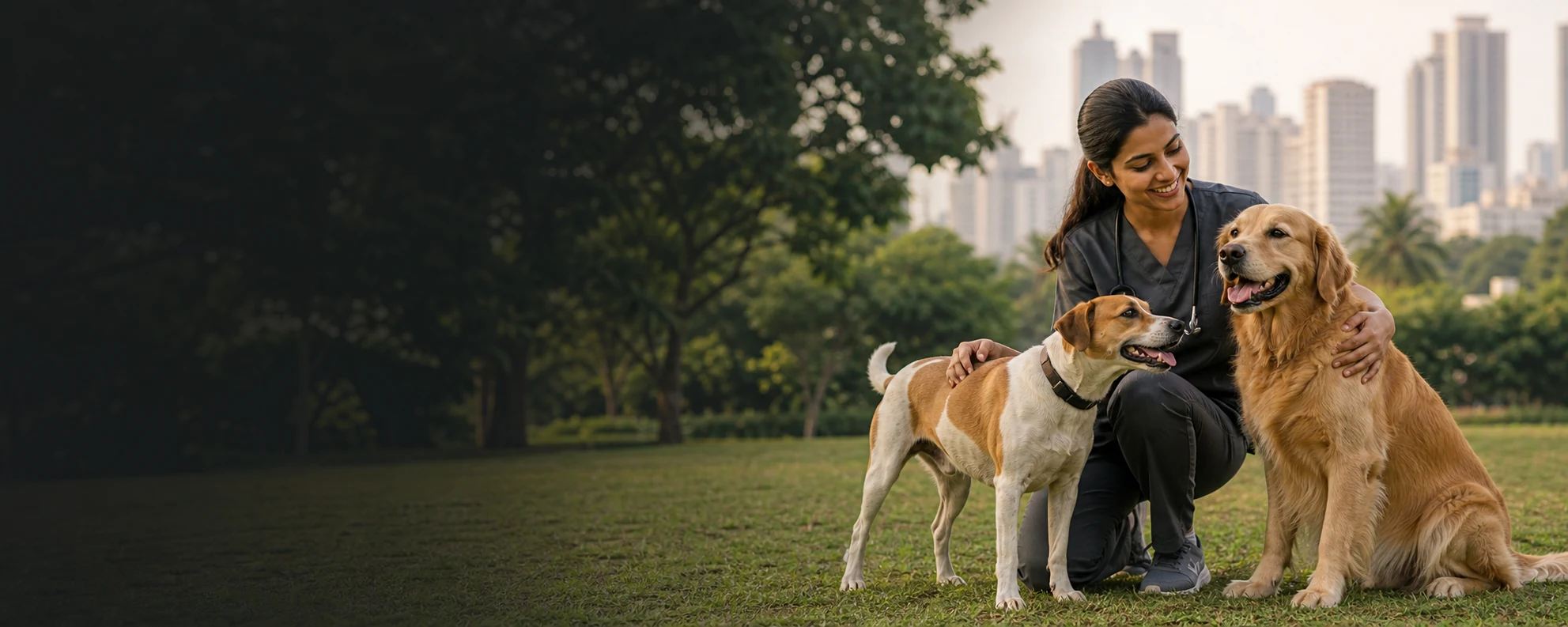 Dog walking care by Animal Connect